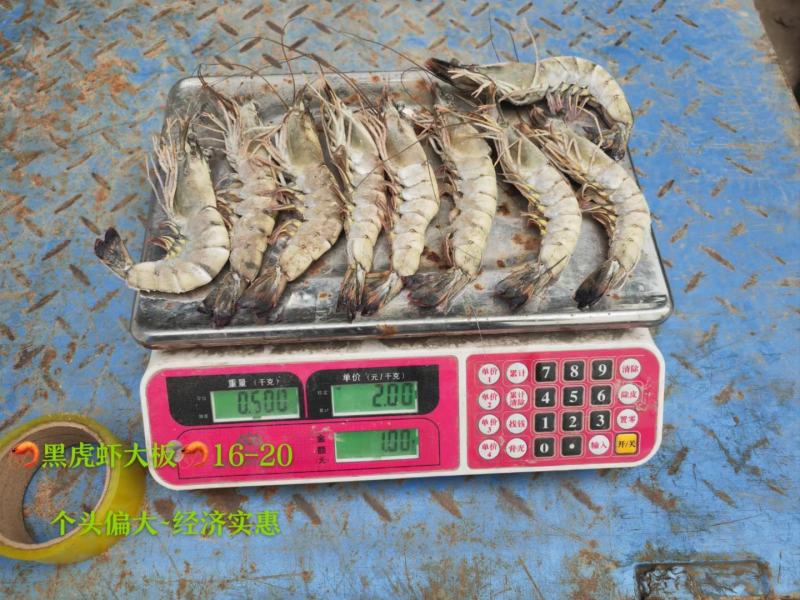 黑虎虾散装一箱净重24斤个大壳薄肉满颜色鲜亮