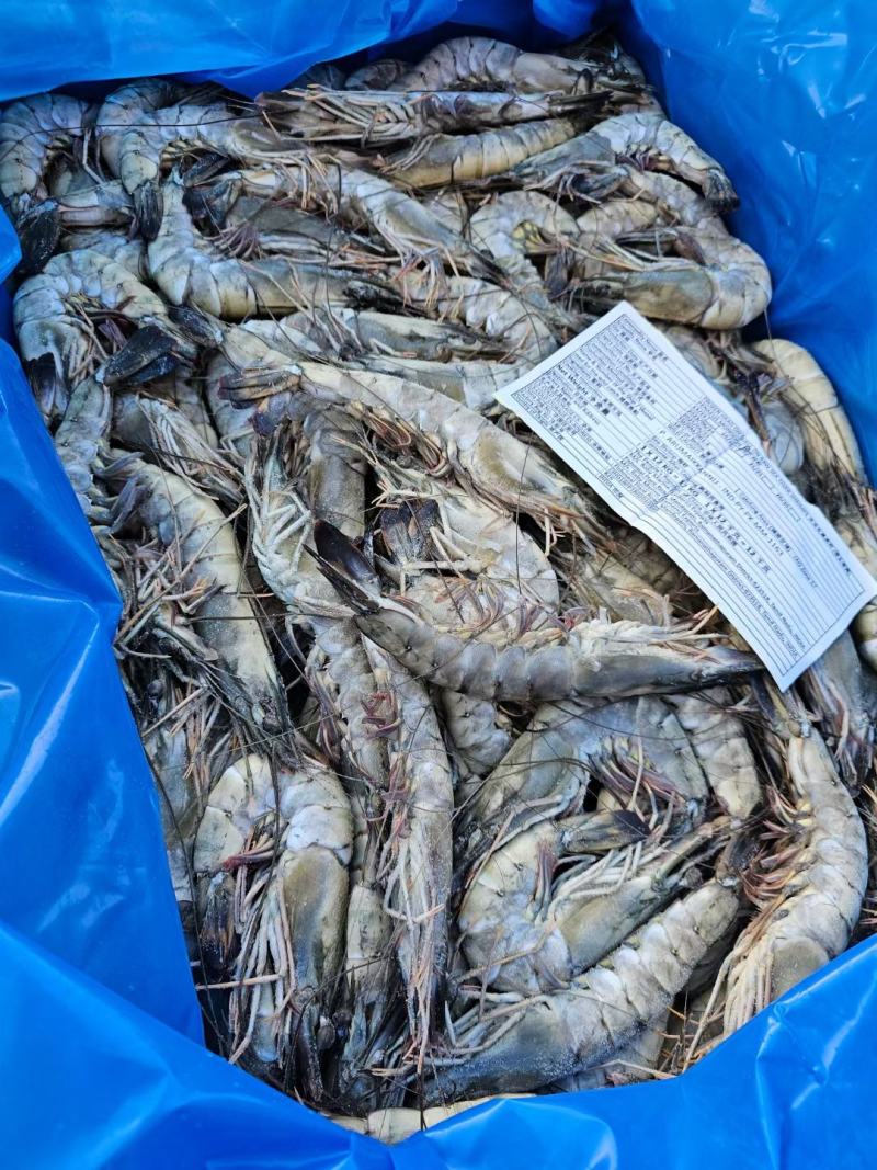 黑虎虾散装一箱净重24斤个大壳薄肉满颜色鲜亮