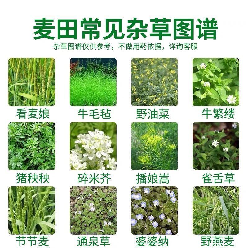 小麦田除草剂56%2甲4氯钠盐一年生阔叶草