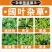 小麦田除草剂56%2甲4氯钠盐一年生阔叶草