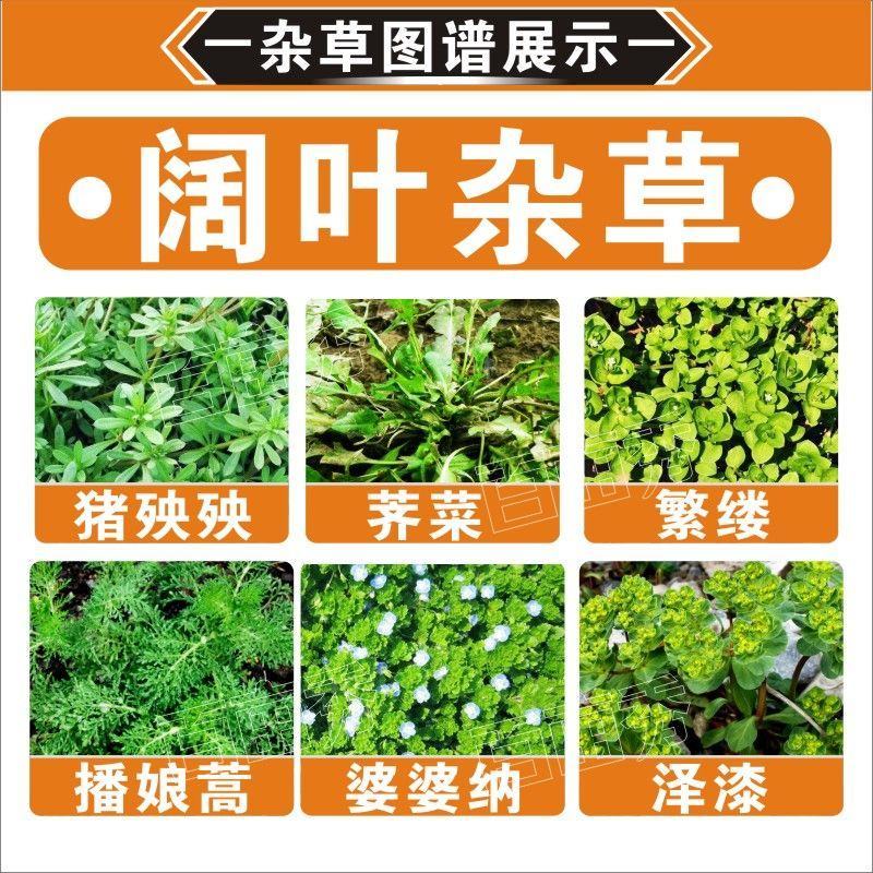 小麦田除草剂56%2甲4氯钠盐一年生阔叶草