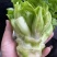 早熟儿菜