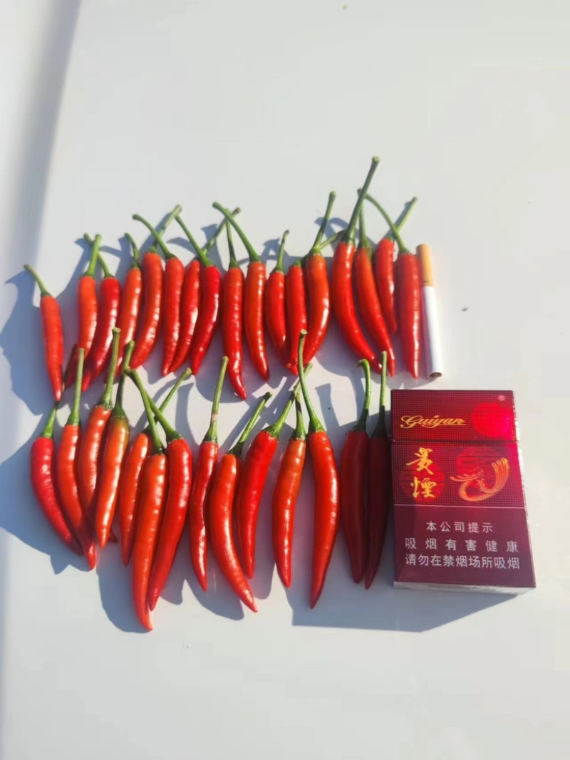 精品小米椒，大量有货，价格美丽，需要的老板速度。