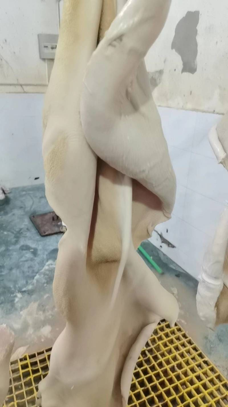 牛肚