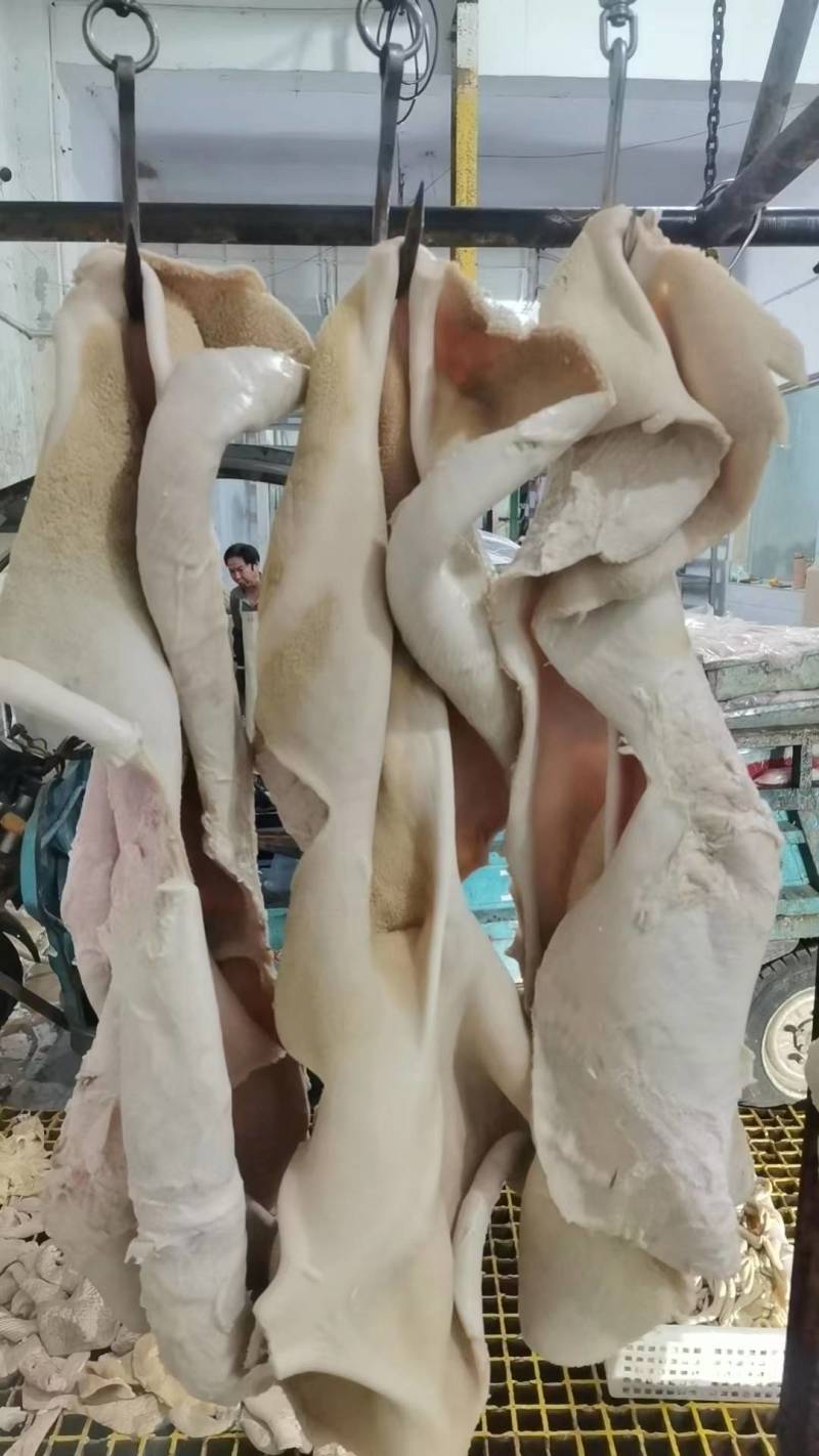 牛肚