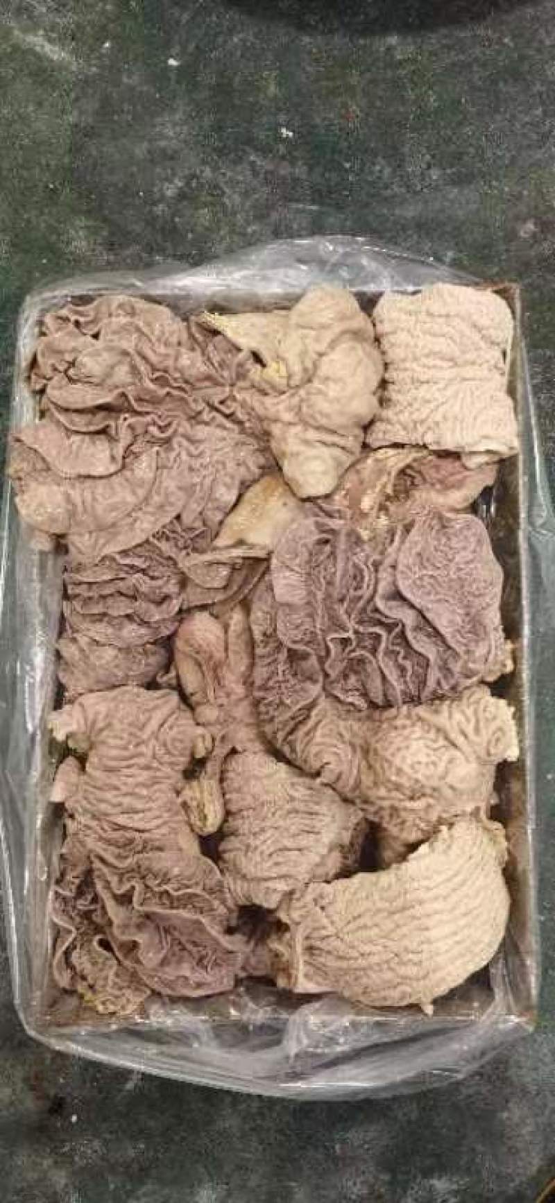 牛大小肠肠牛花肚