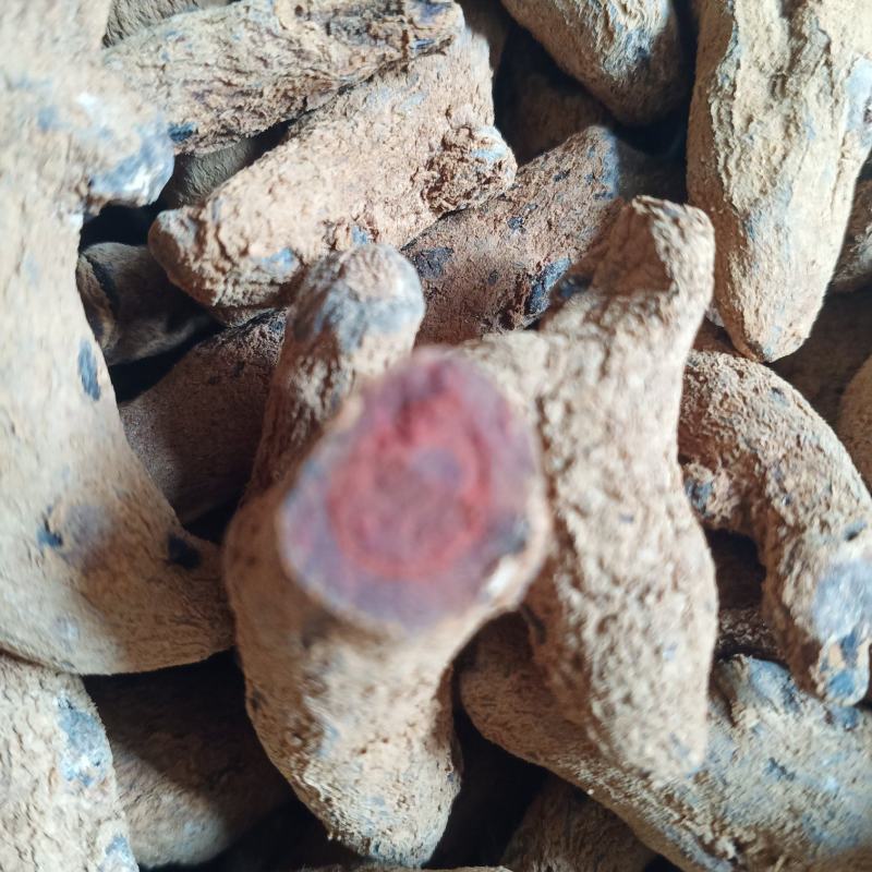 正品血三七中药找发一手货源量大忧惠全国发货