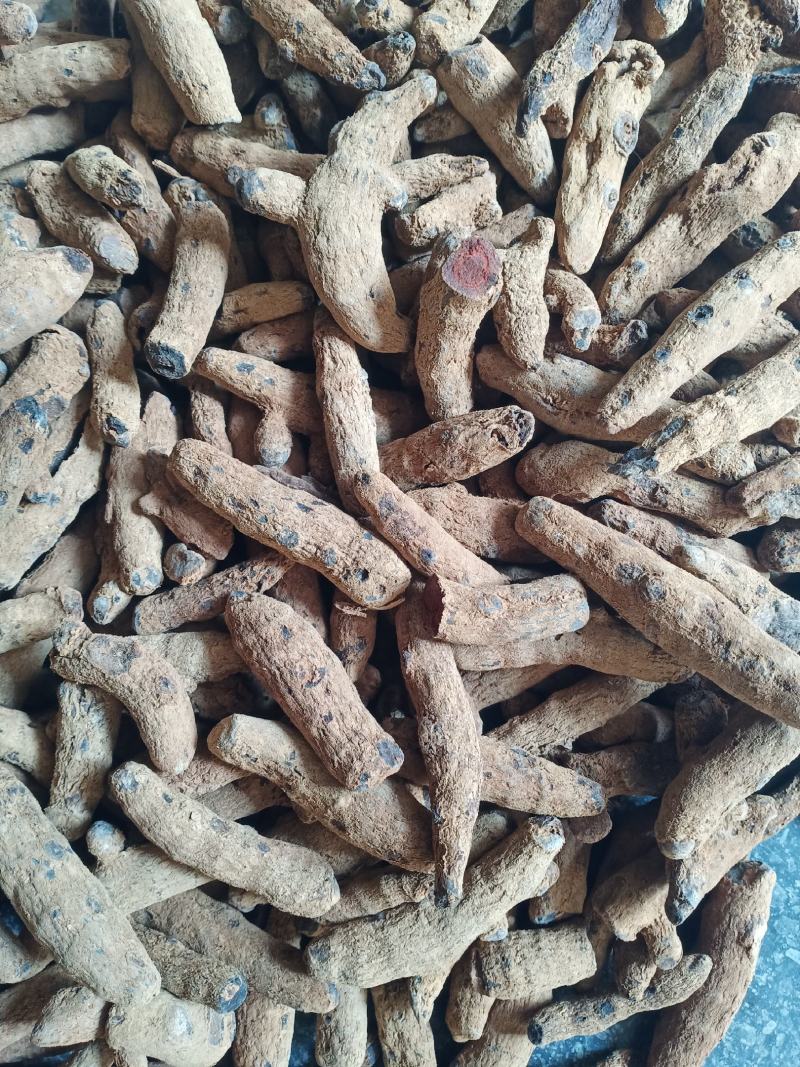 正品血三七中药找发一手货源量大忧惠全国发货