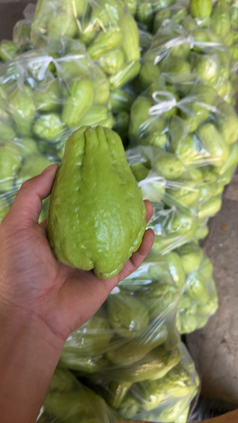 精品佛手瓜