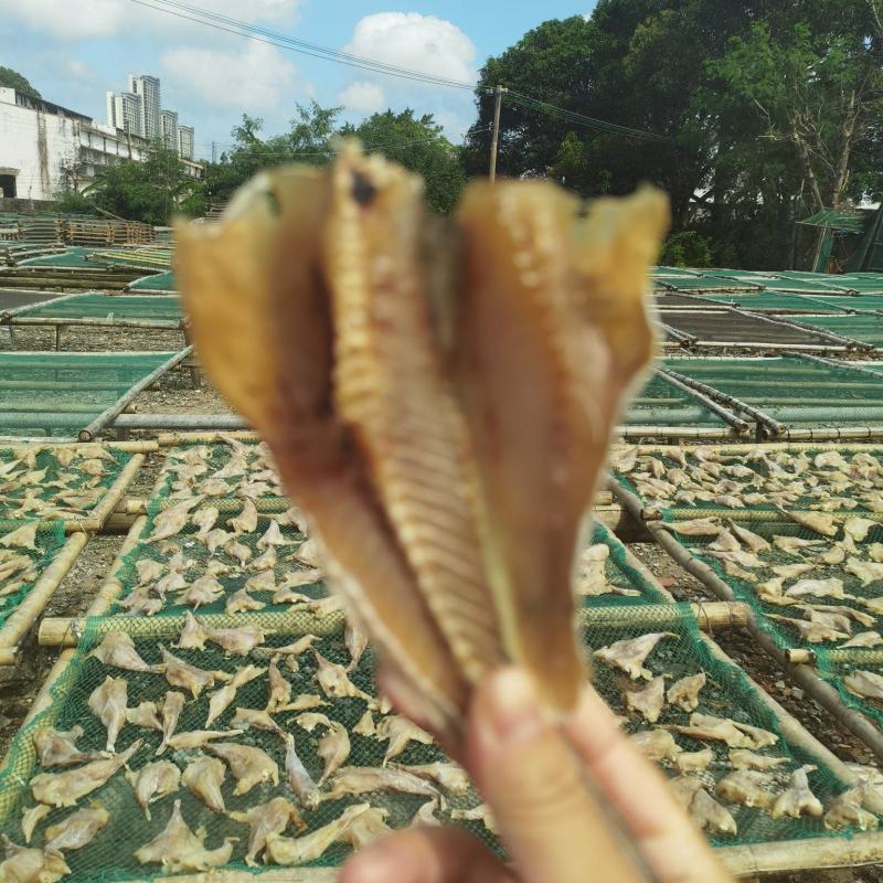 石斑鱼干