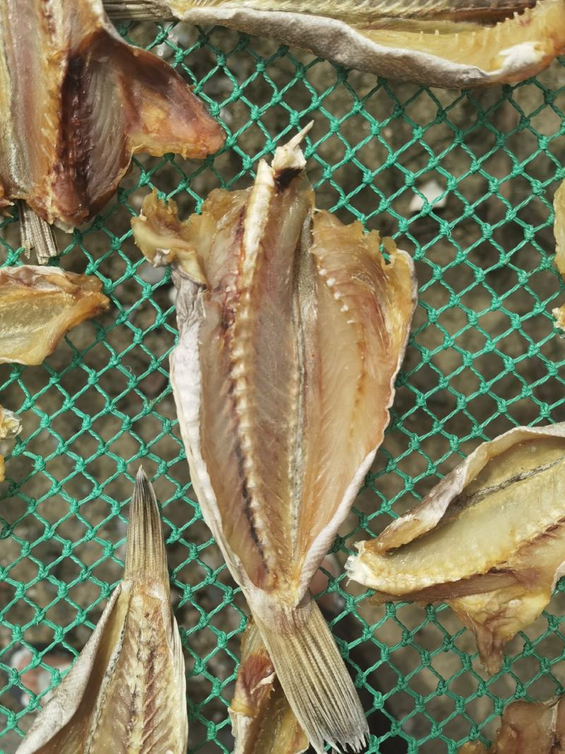 石斑鱼干