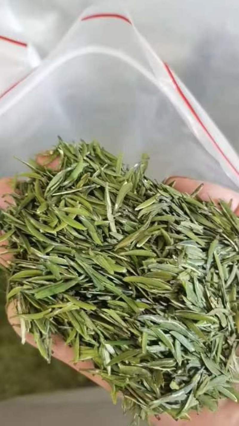 贵州湄潭明前翠芽，散茶批发，品质保证，欢迎来电咨询