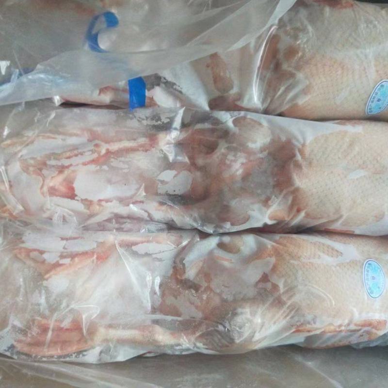 山东全鸭北方俗称雁鹅全净膛半净膛都有肉质鲜美货源充足