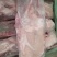 山东全鸭北方俗称雁鹅全净膛半净膛都有肉质鲜美货源充足