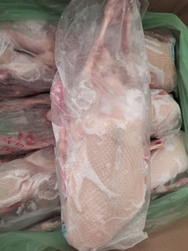 山东全鸭北方俗称雁鹅全净膛半净膛都有肉质鲜美货源充足