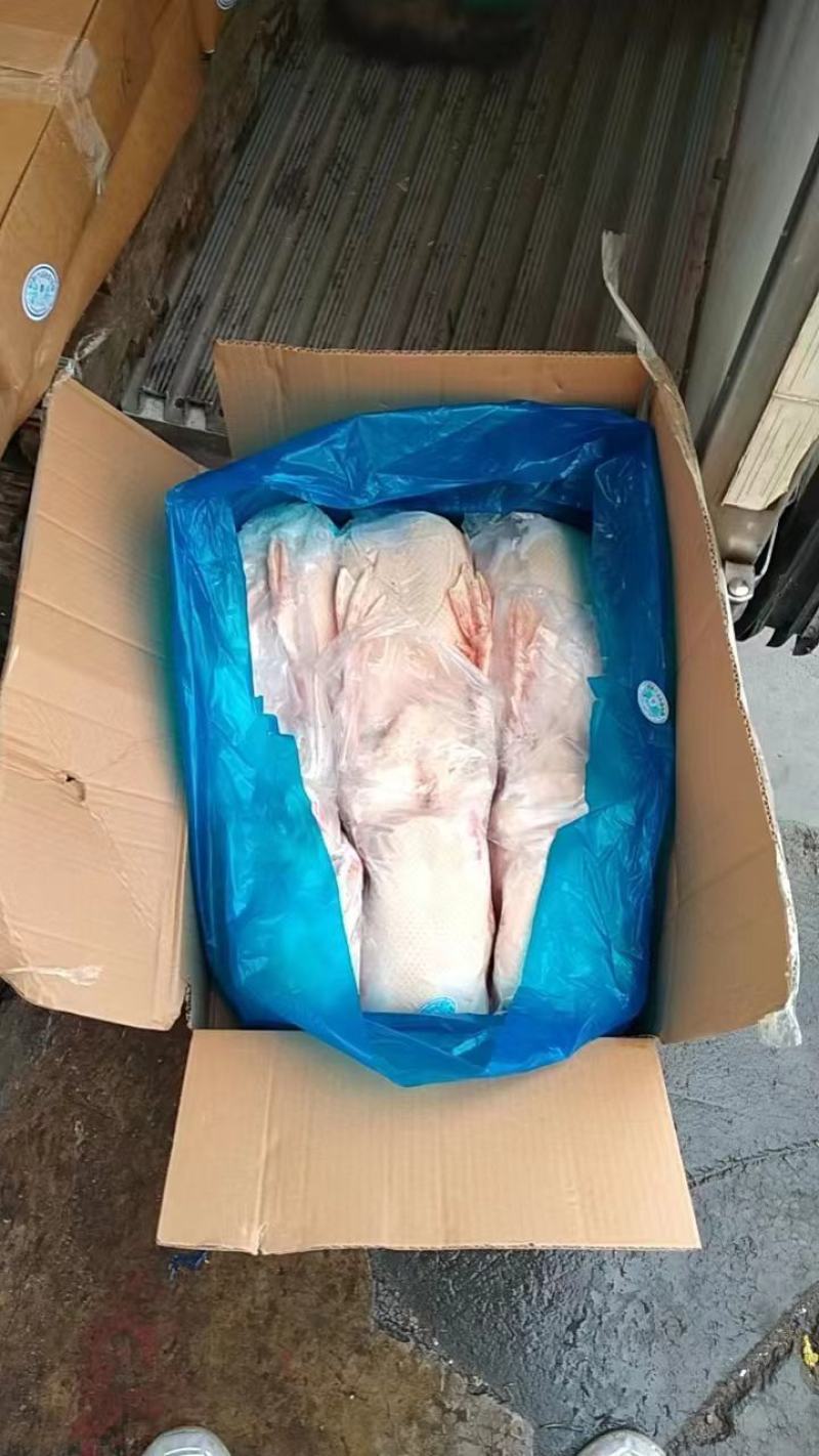 山东全鸭北方俗称雁鹅全净膛半净膛都有肉质鲜美货源充足