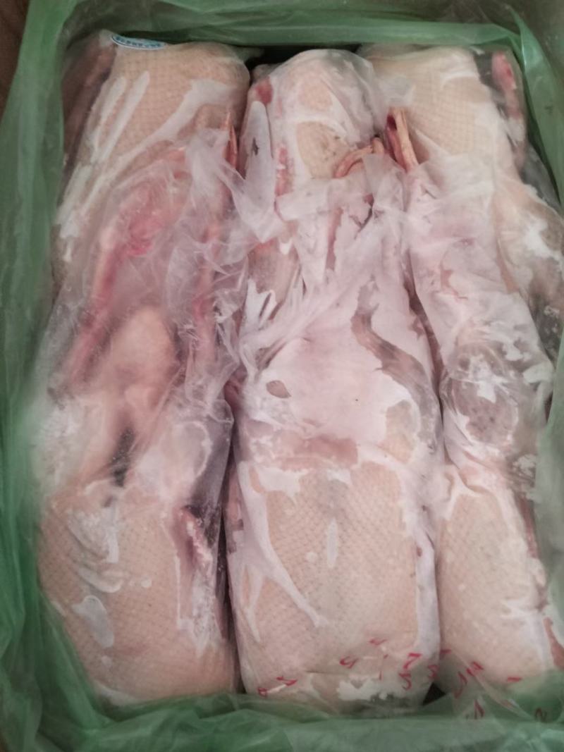 山东全鸭北方俗称雁鹅全净膛半净膛都有肉质鲜美货源充足
