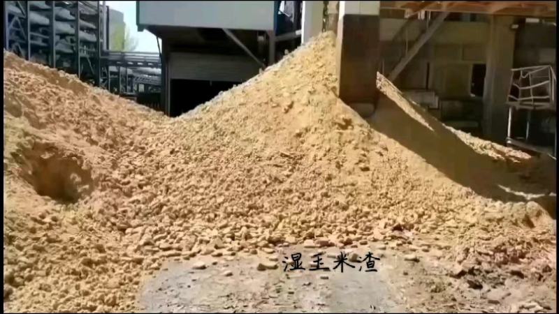湿玉米渣