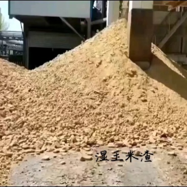 湿玉米渣