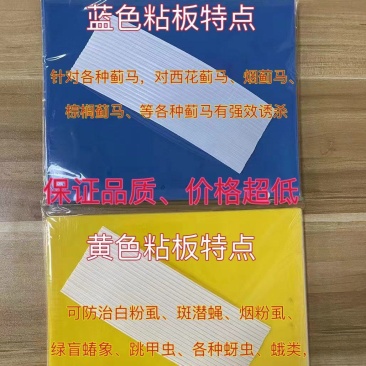 粘虫板粘蚊虫安全环保耐用