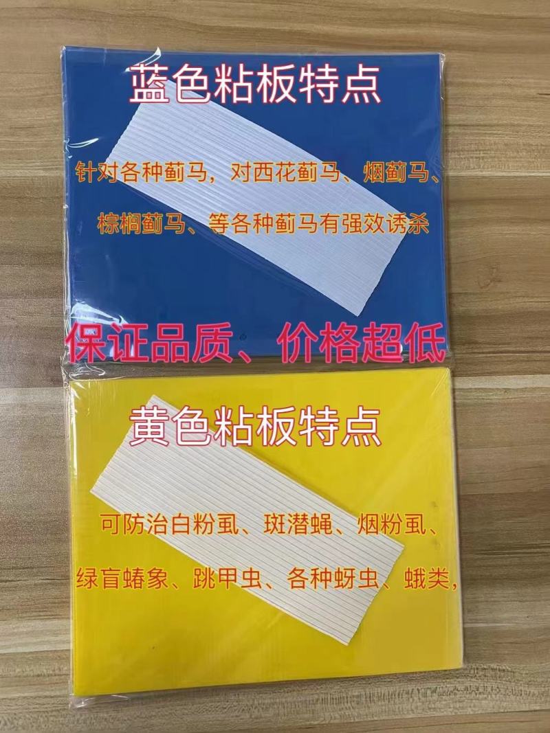 粘虫板粘蚊虫安全环保耐用
