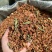 批发百花草益寿茶江湖地摊展销会产品