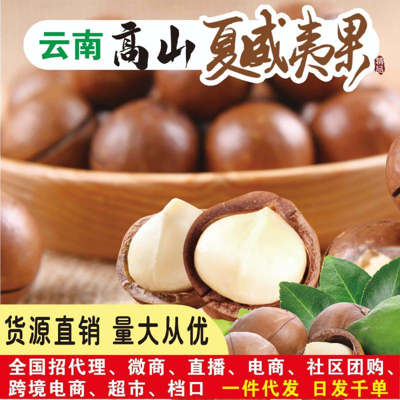 云南夏威夷坚果大量上市，承接一件代发，量大从优…