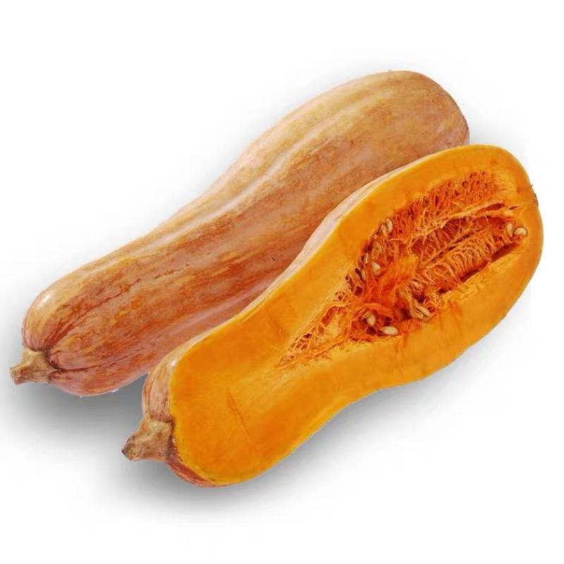 粤红蜜本南瓜种子超甜粉面南瓜早熟高产耐贮运四季蔬菜种子