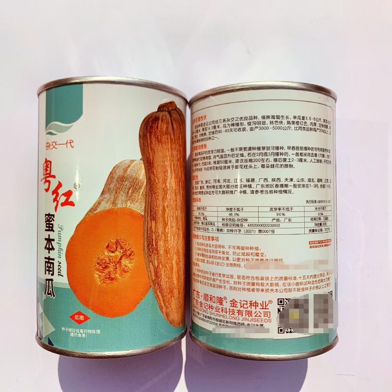 粤红蜜本南瓜种子超甜粉面南瓜早熟高产耐贮运四季蔬菜种子