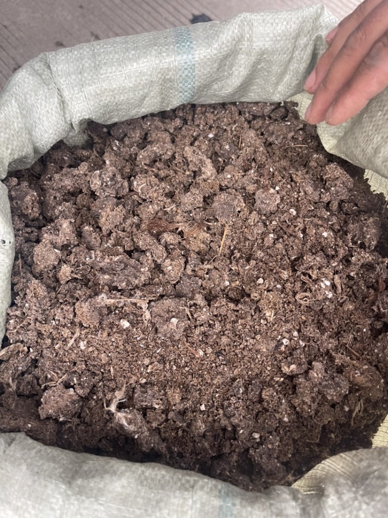江苏泰州有机肥禽畜粪便大包纯干鸡粪水泥地晾晒无杂质常年供应
