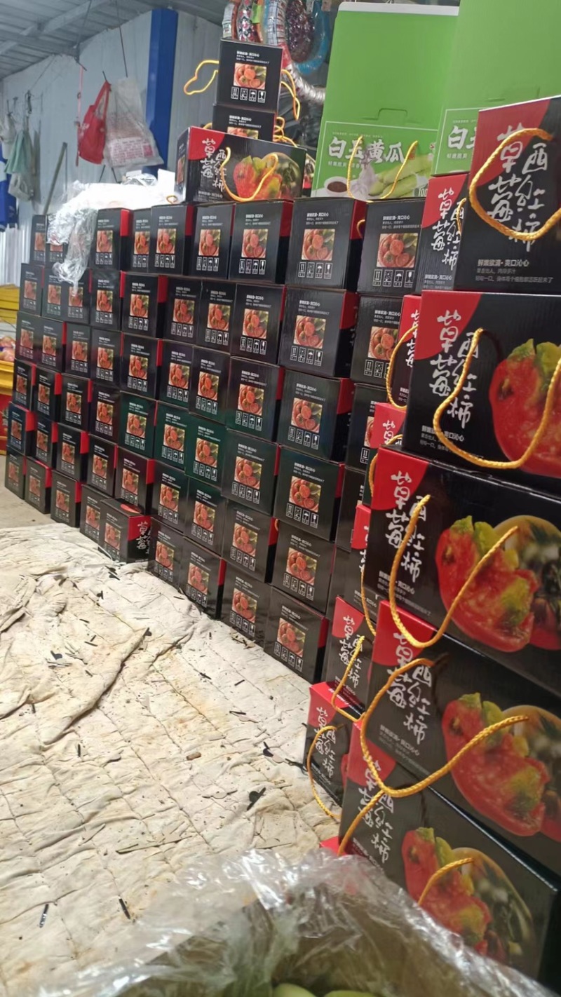 烟台海阳普罗旺斯西红柿货源价格电商批发落地配电联