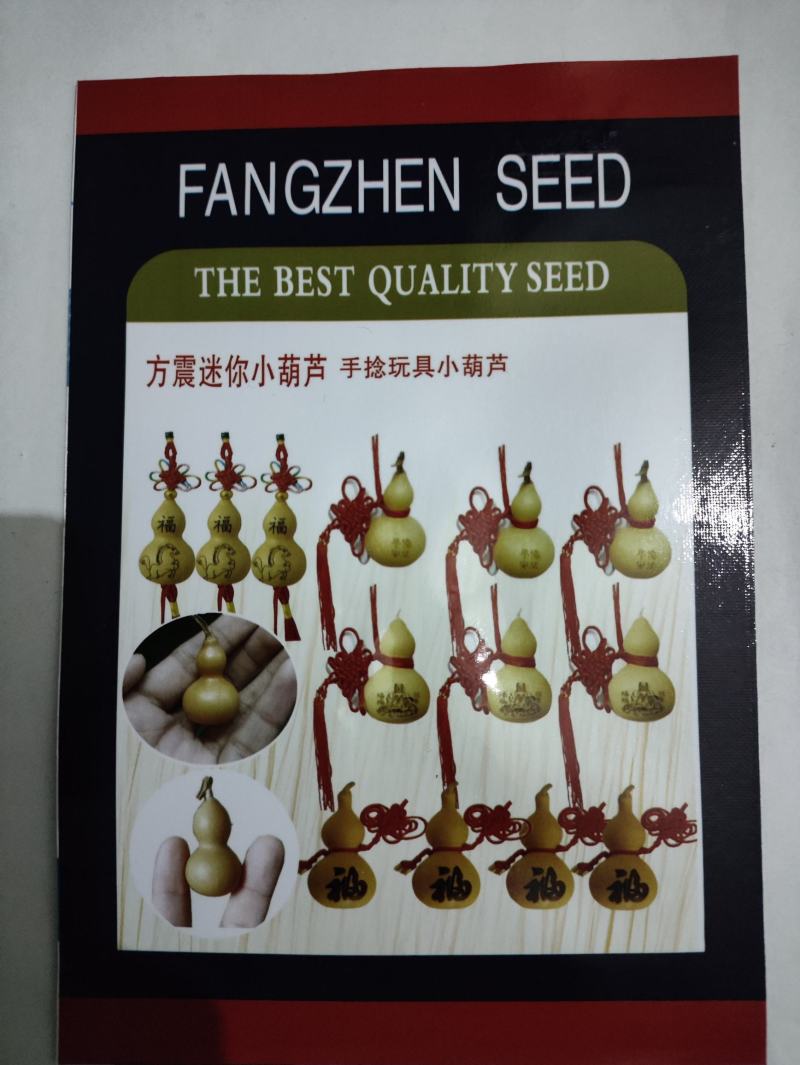 手捻葫芦种子，小葫芦种子，观赏葫芦种子，文玩葫芦，观赏强