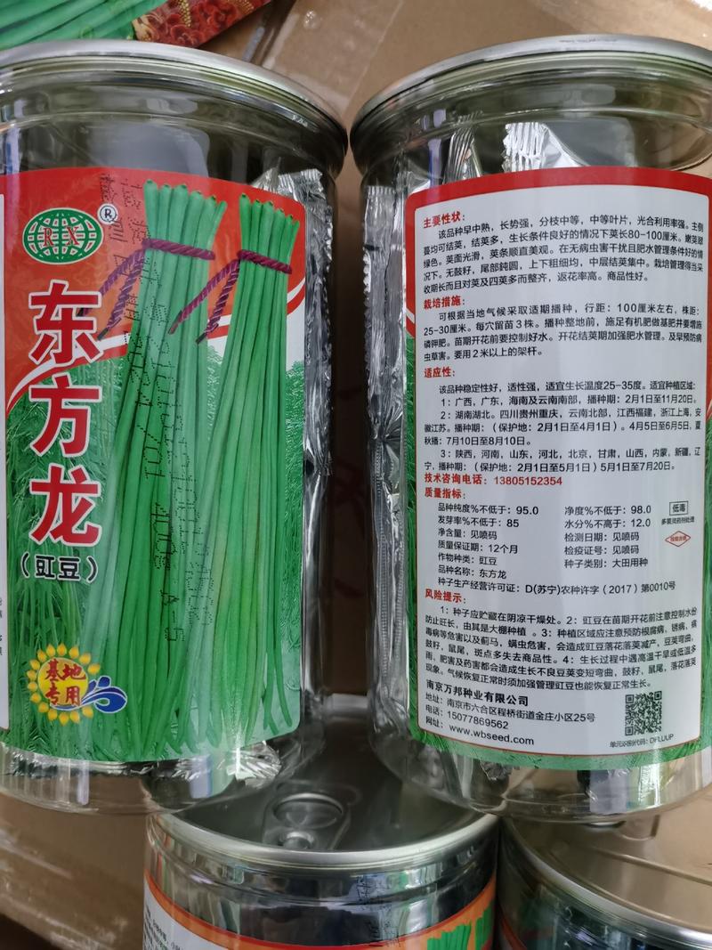 物华天宝小叶翠柳一代天骄豆角种子耐老化品质结荚期长