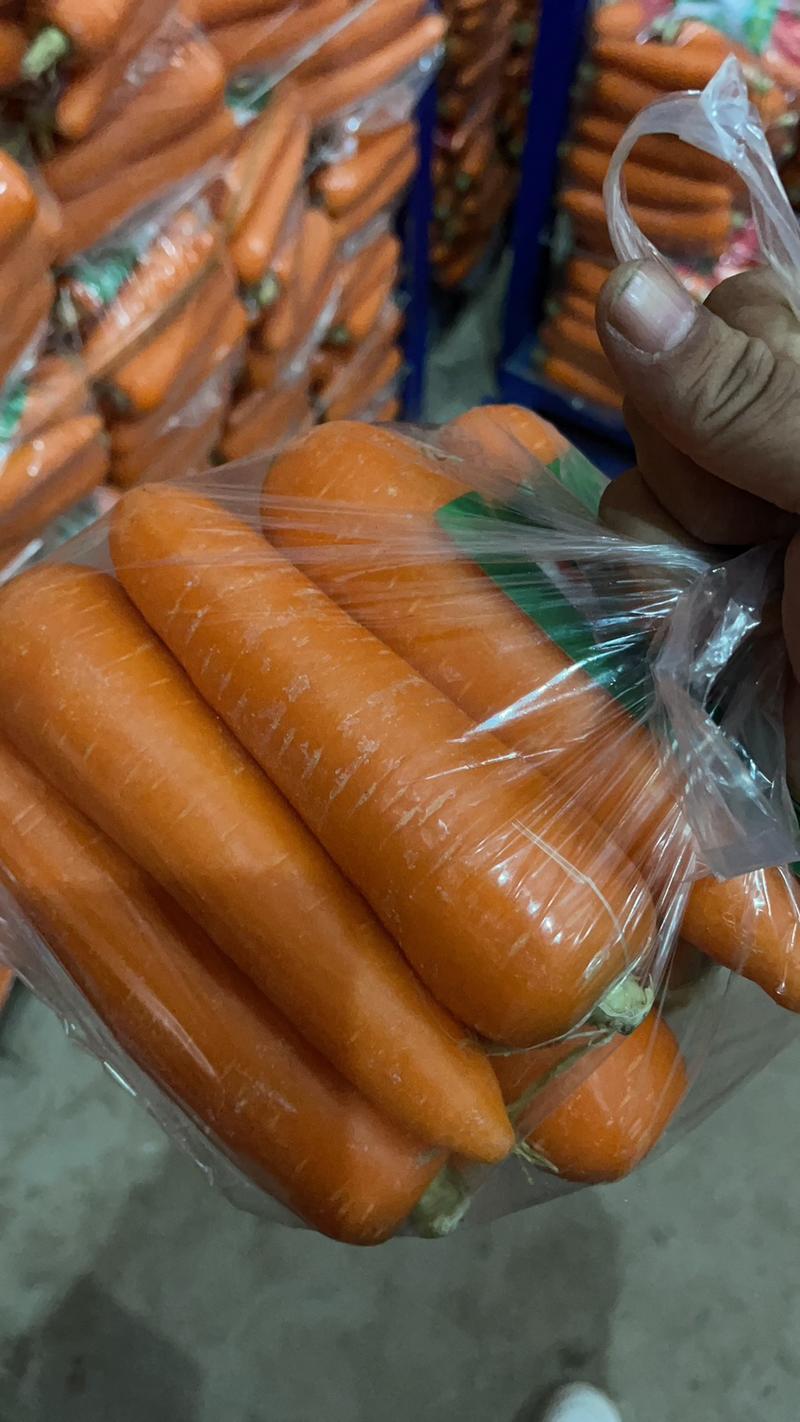 精品红萝卜支持各种包装全国发货