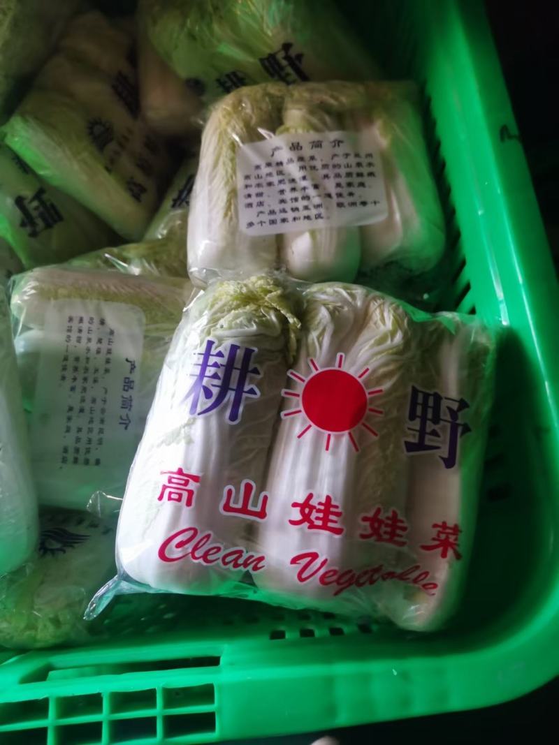 湖北宜城市娃娃菜大量供应，支持各种规格，各种包装，市场货