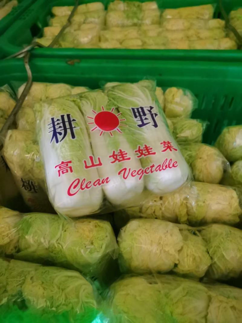 湖北宜城市娃娃菜大量供应，支持各种规格，各种包装，市场货
