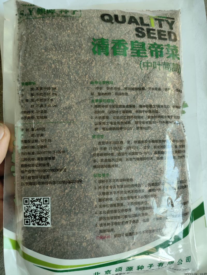 硕源中叶茼蒿种子清香皇帝菜茼蒿菜种子籽抗热耐热中叶春菊种