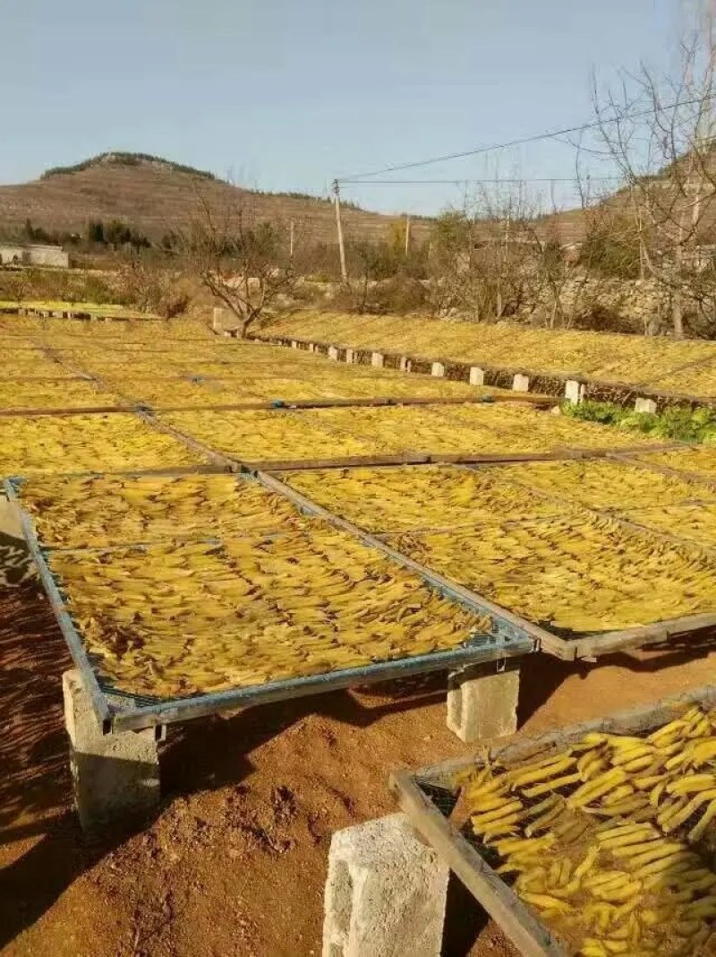 地瓜干