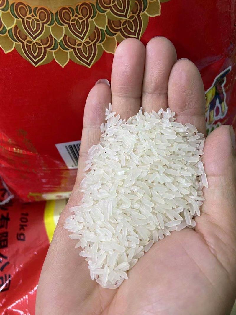 23年养鸭稻田不打化肥农药的香米口感柔韧香昧浓郁厂家批发