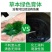 云南本草染发剂一洗黑天然植物洗发水黑色染发膏一支黑批发