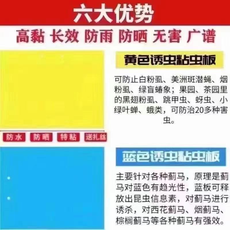 粘虫板粘蚊虫环保耐用耐雨水冲刷不变形