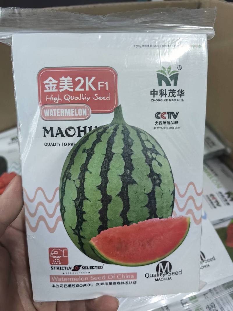 2K西瓜种子礼品小西瓜小糖丸皮薄沙瓤耐裂超甜吊瓜西瓜种子