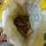 韶关山区黄泥土冬笋，口味鲜甜脆爽，皮薄肉多且白，欢迎下单