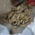 韶关山区黄泥土冬笋，口味鲜甜脆爽，皮薄肉多且白，欢迎下单