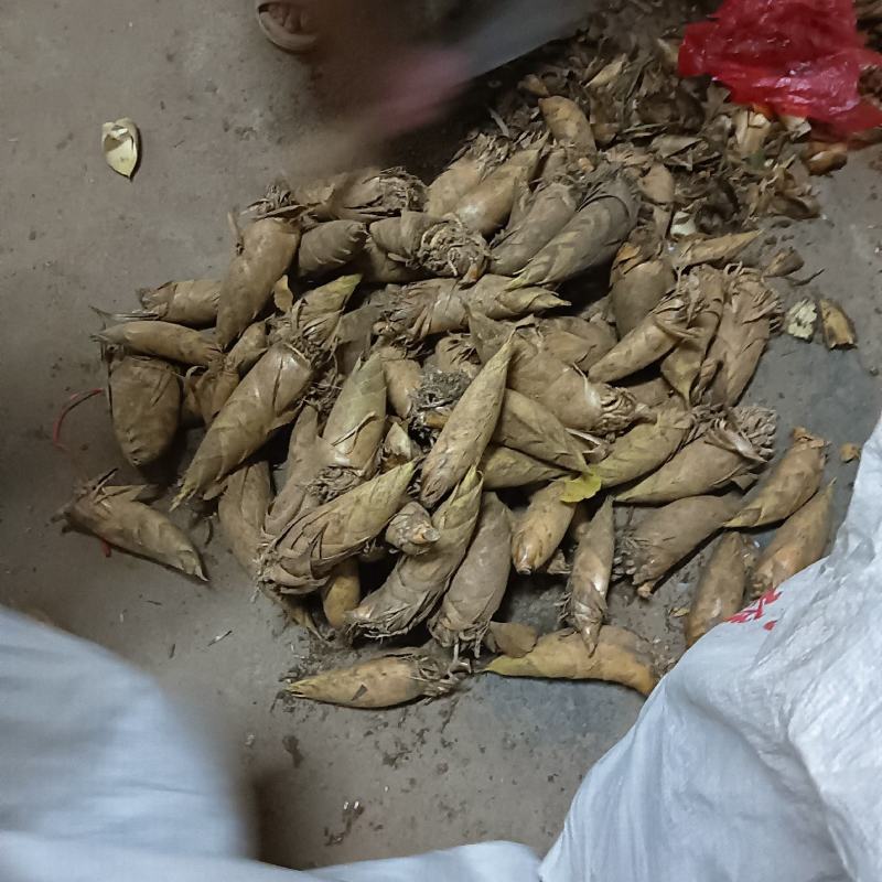 韶关山区黄泥土冬笋，口味鲜甜脆爽，皮薄肉多且白，欢迎下单