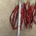 精品烘干二荆条干辣椒，长度20厘米以上。