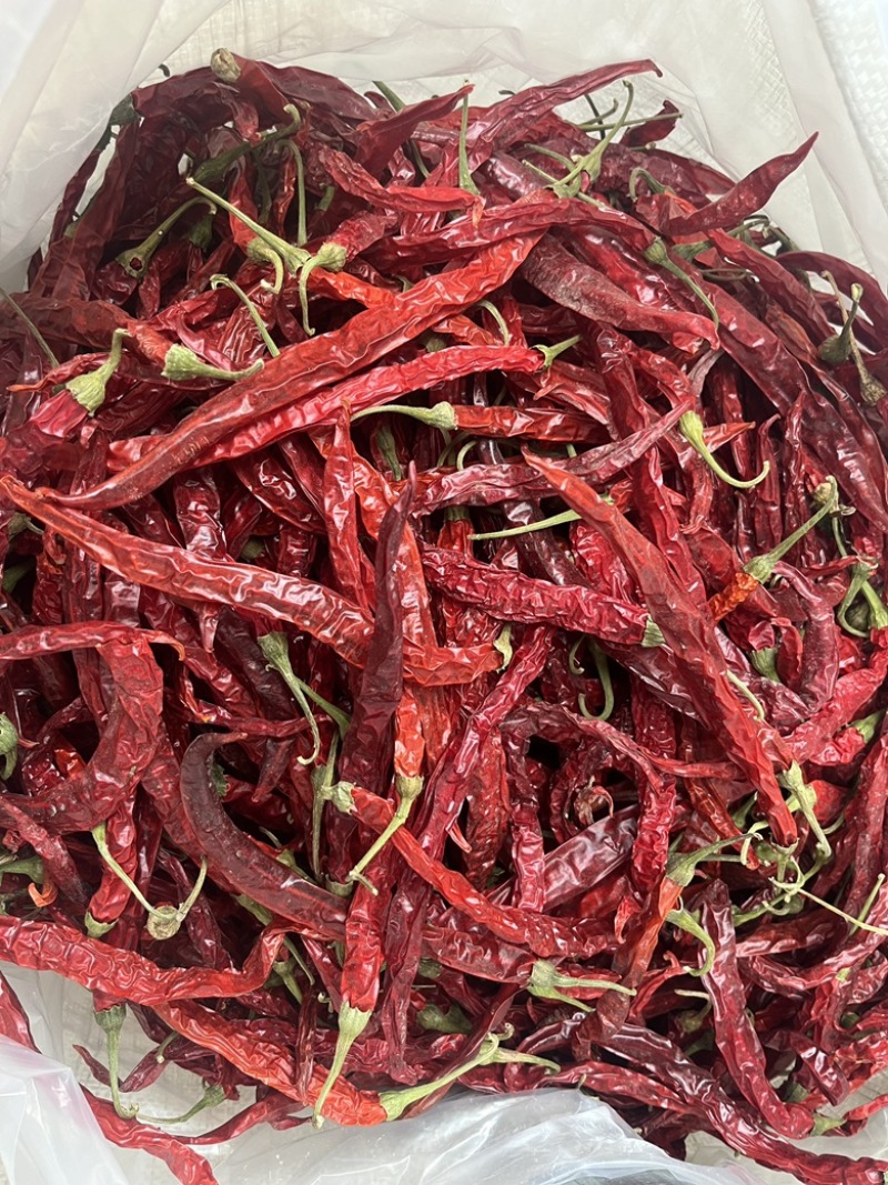 精品烘干二荆条干辣椒，长度20厘米以上。