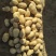 陕西精品v7土豆大量供应全国发货量大优惠