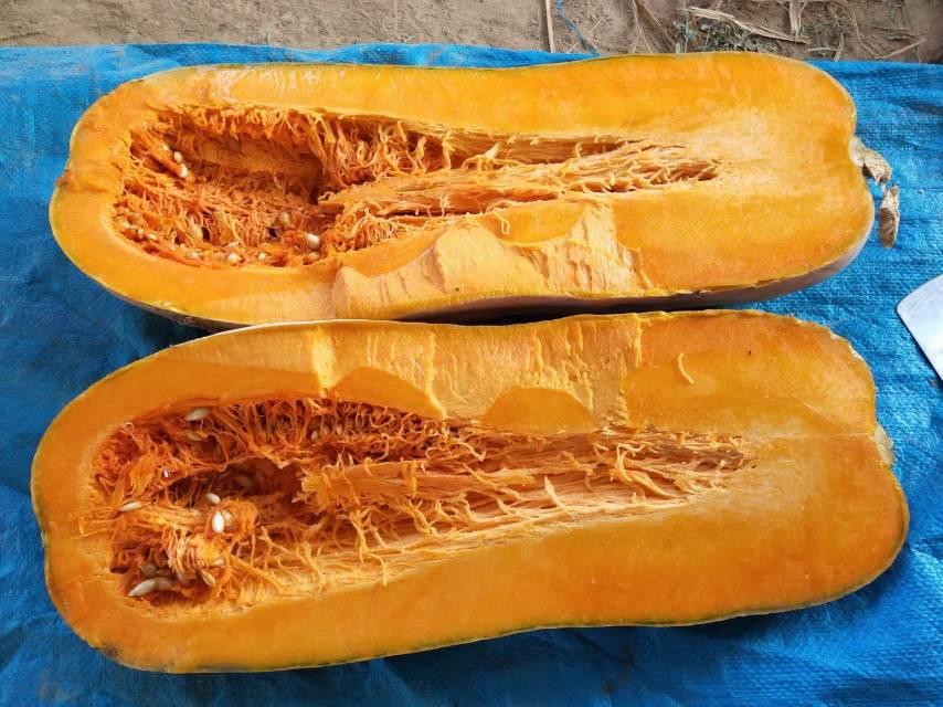 南瓜与血糖管理示意图