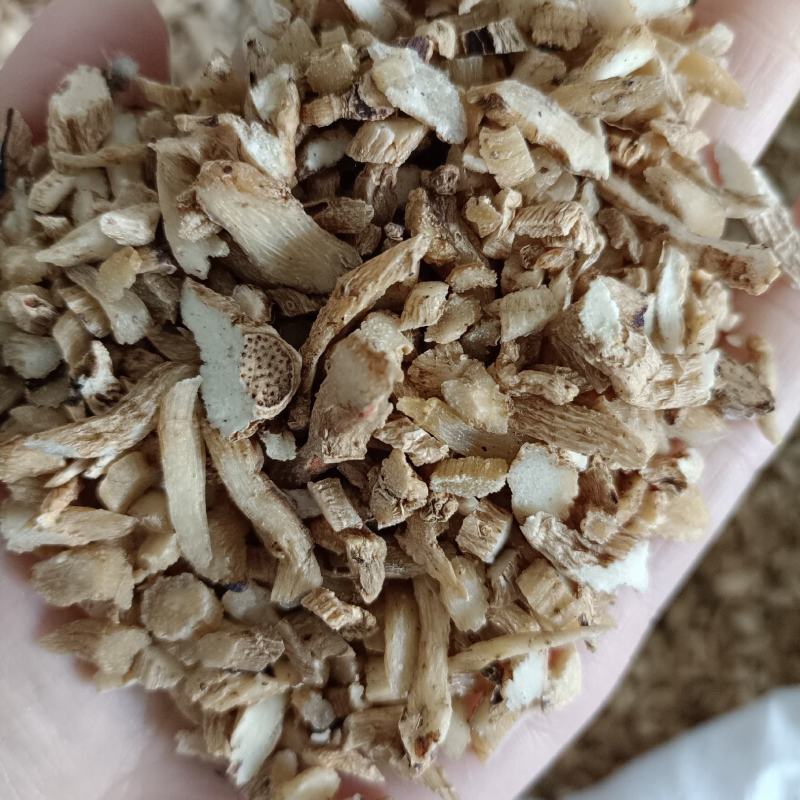 精选玉竹条片，各种规格，玉竹大全，各产地玉竹大货直供